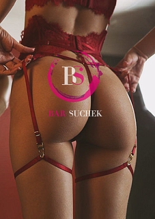   ,  Barsuchek