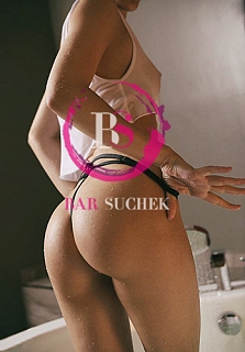   ,  Barsuchek