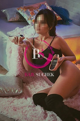   ,  Barsuchek