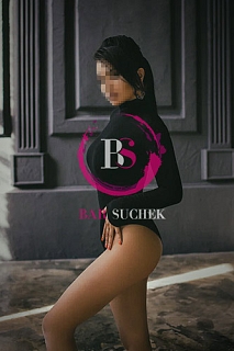   ,  Barsuchek